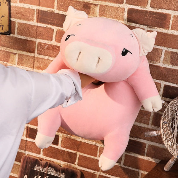 Pochi The Chonky Pig